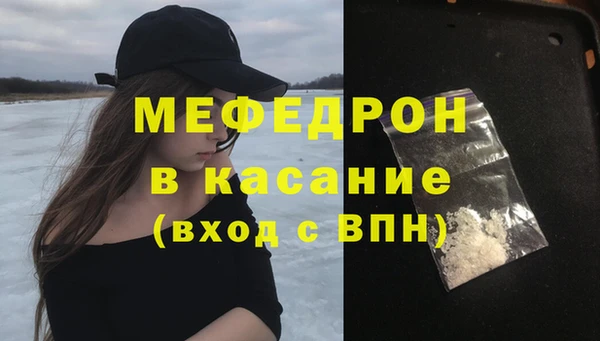 индика Надым