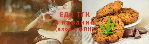индика Надым