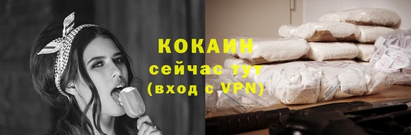 индика Надым