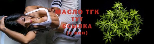 индика Надым
