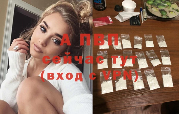 индика Надым