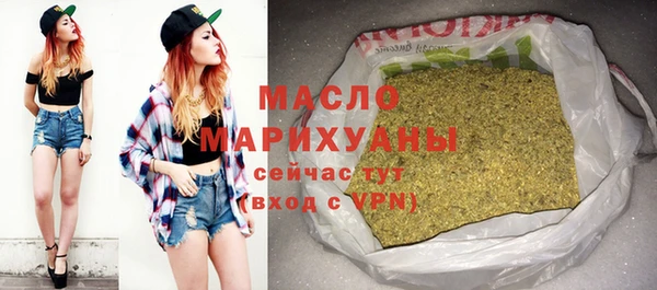 индика Надым