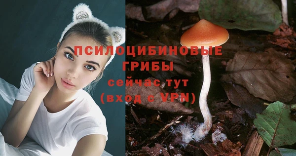 индика Надым