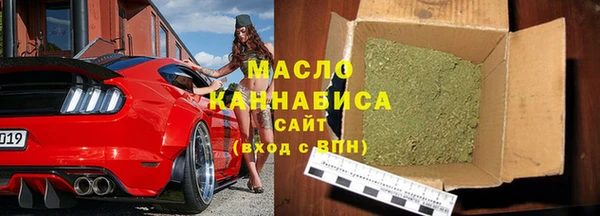 индика Надым