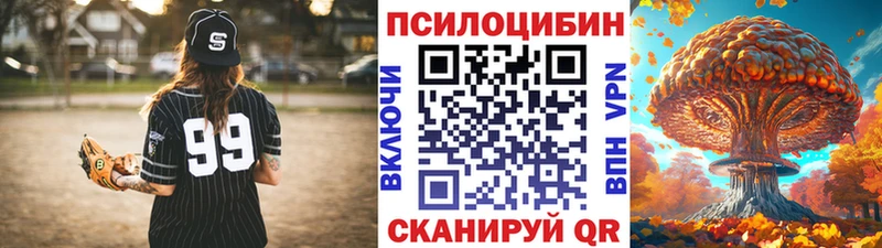 Галлюциногенные грибы Cubensis  закладки  Камышин 