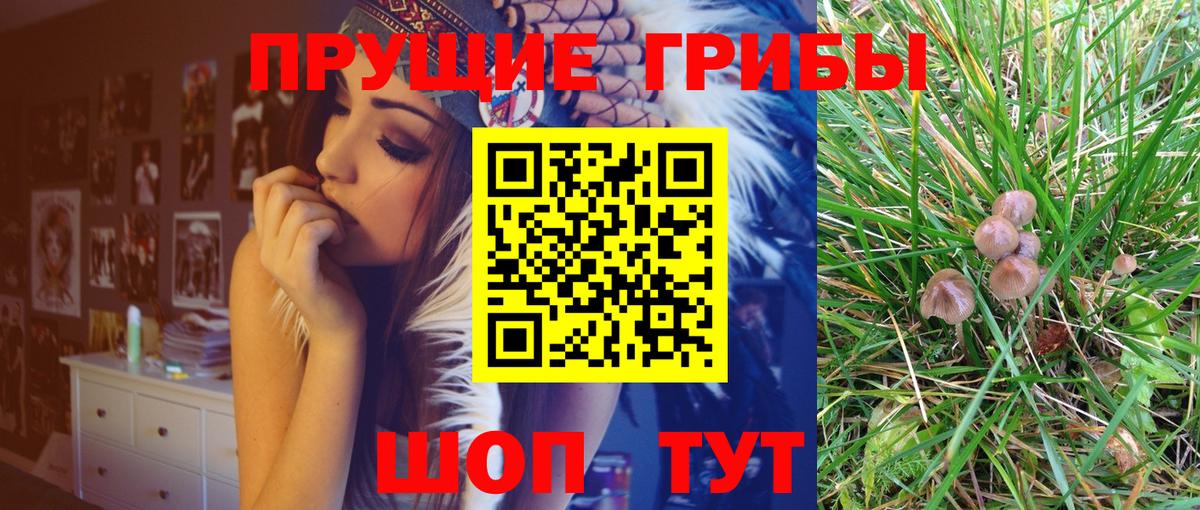 Галлюциногенные грибы GOLDEN TEACHER  Камышин 