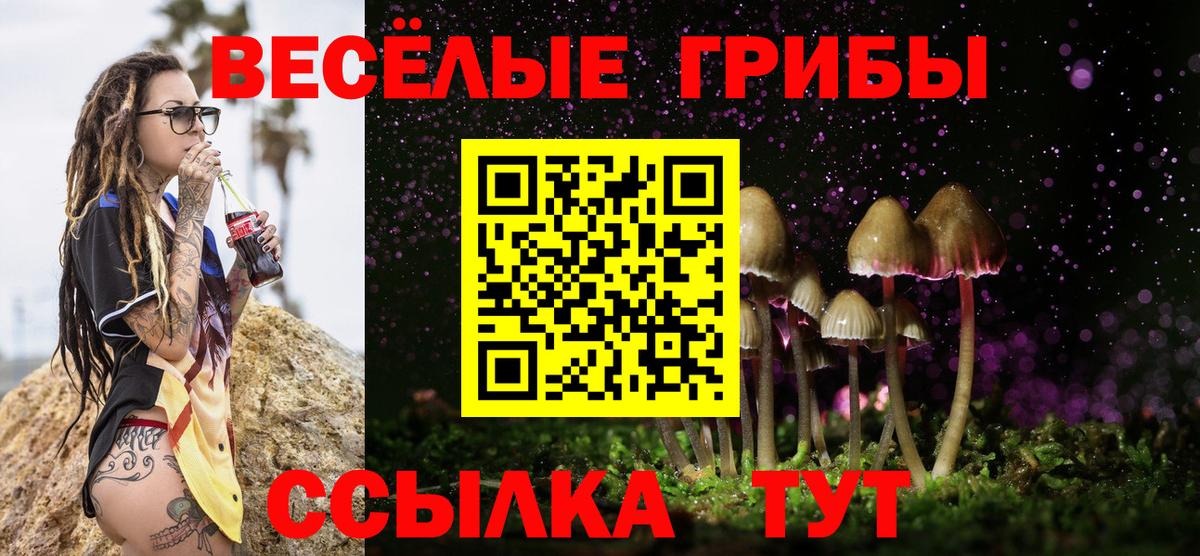 Псилоцибиновые грибы MAGIC MUSHROOMS Камышин