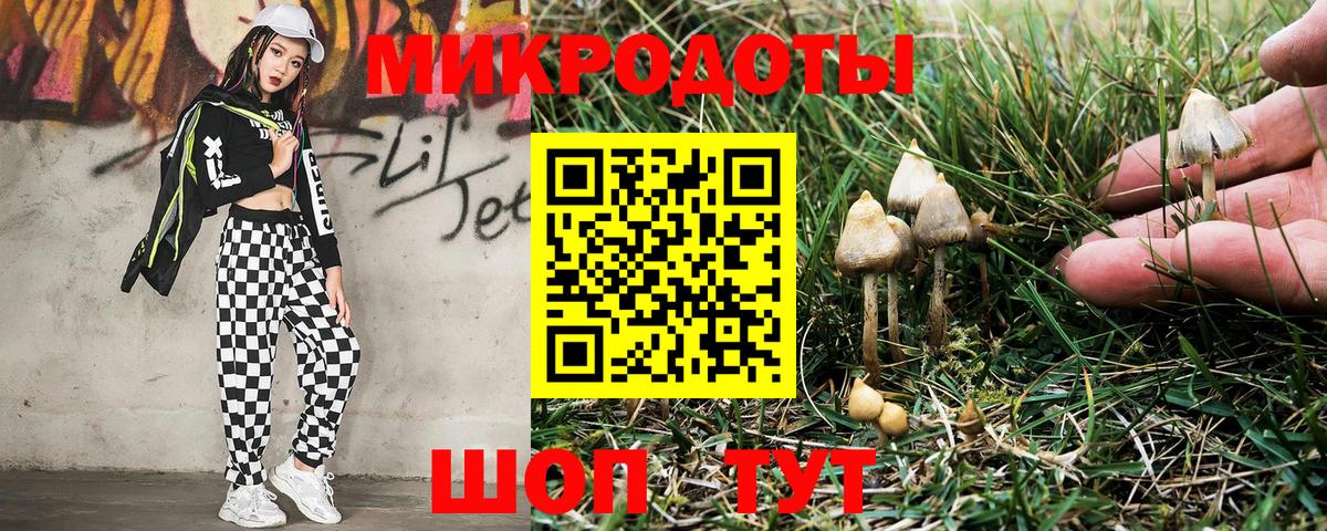 Каннабис  Камышин  Вход с VPN  Магазины продажи наркотиков  МЕФ  APVP  Бошки Шишки  Cocaine  Мед  Марки ЛСД 