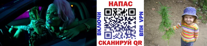 Канабис конопля Камышин
