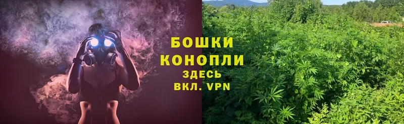 даркнет сайт  Камышин  Конопля SATIVA & INDICA 